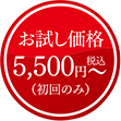 お試し価格5500円〜