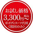 お試し価格3300円〜