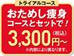 お試し価格3000円〜