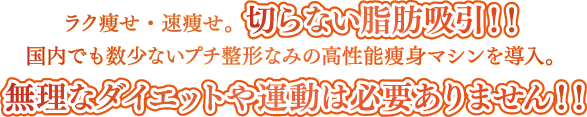 ラク痩せ・速痩せ。切らない脂肪吸引!!　国内でも数少ないプチ整形なみの高性能痩身マシンを導入。無理なダイエットや運動は必要ありません!!